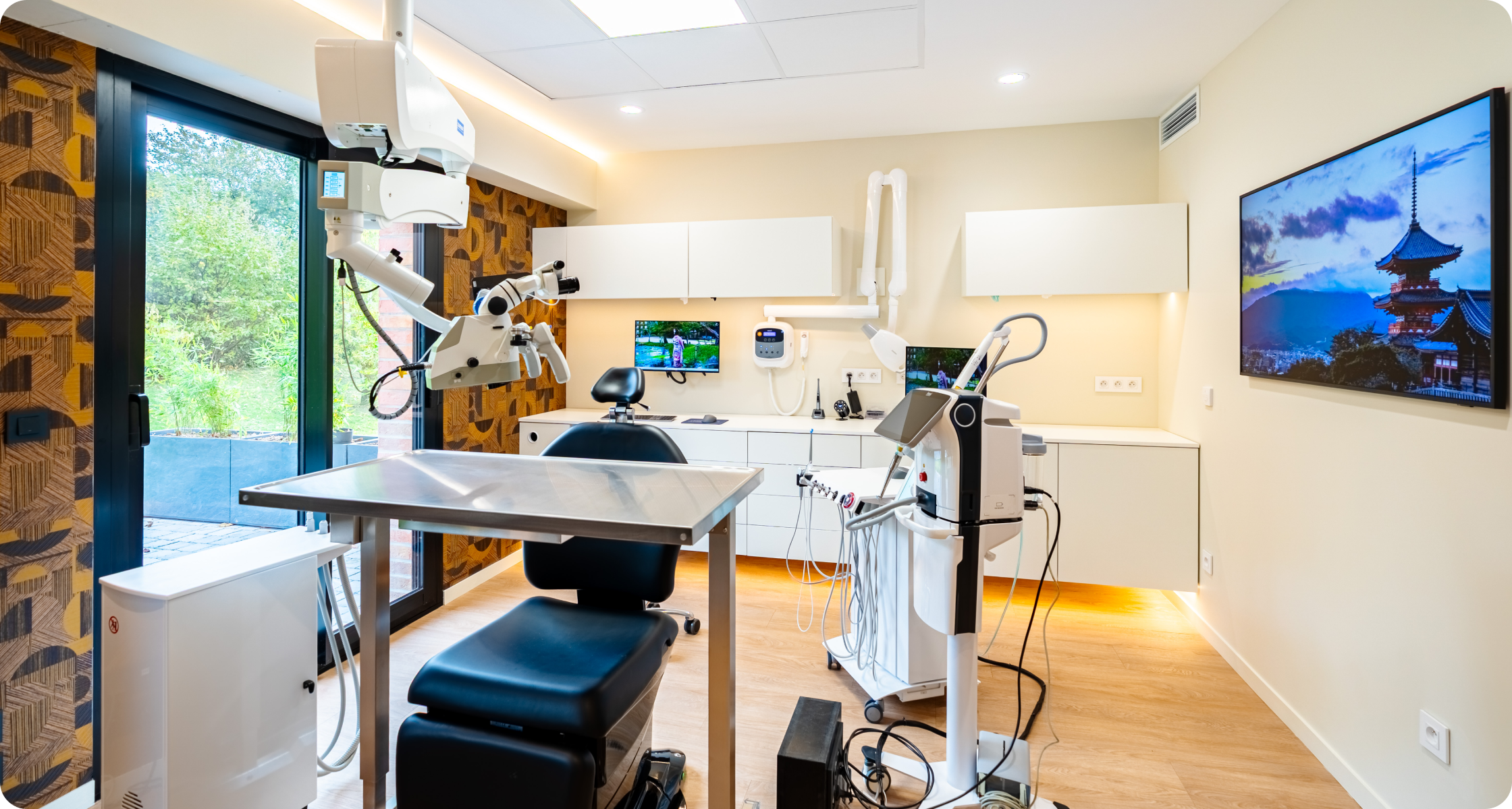 villeneuve d ascq endodontiste demetriou Praticien Cabinet d’Endodontie Lillois