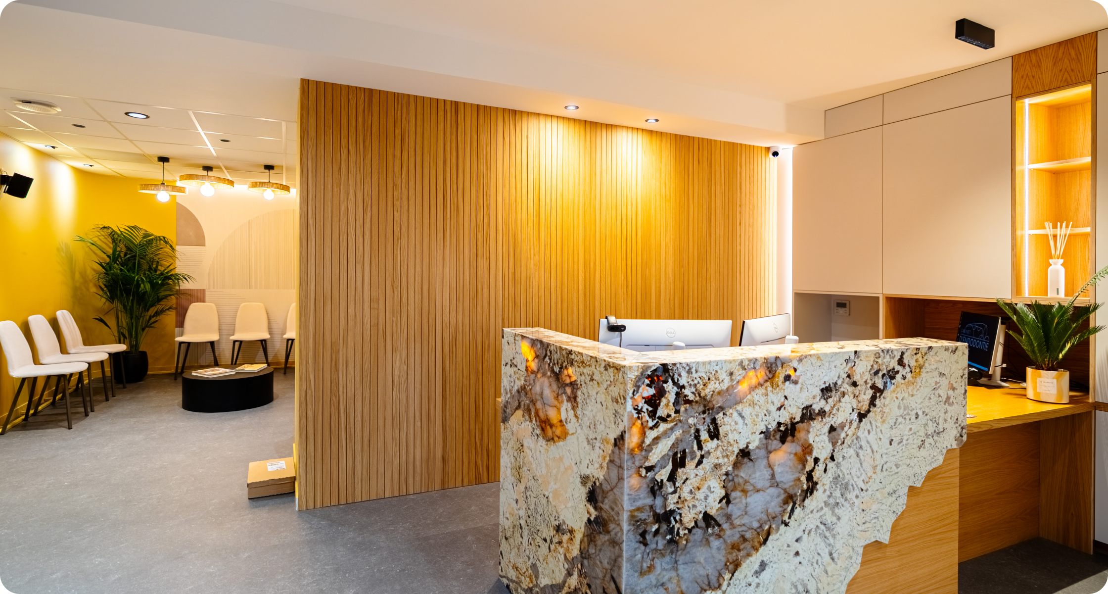 villeneuve d ascq soins dentaires cabinet lillois Praticien Cabinet d’Endodontie Lillois